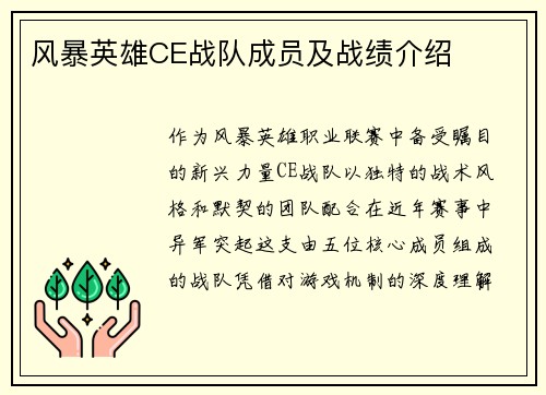 风暴英雄CE战队成员及战绩介绍